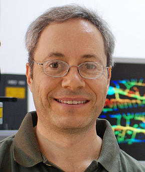 Picture of Prof. Benjamin Podbilewicz