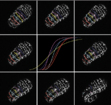 Genetic control of fusion pore expansion in the epidermis of Caenorhabditis elegans